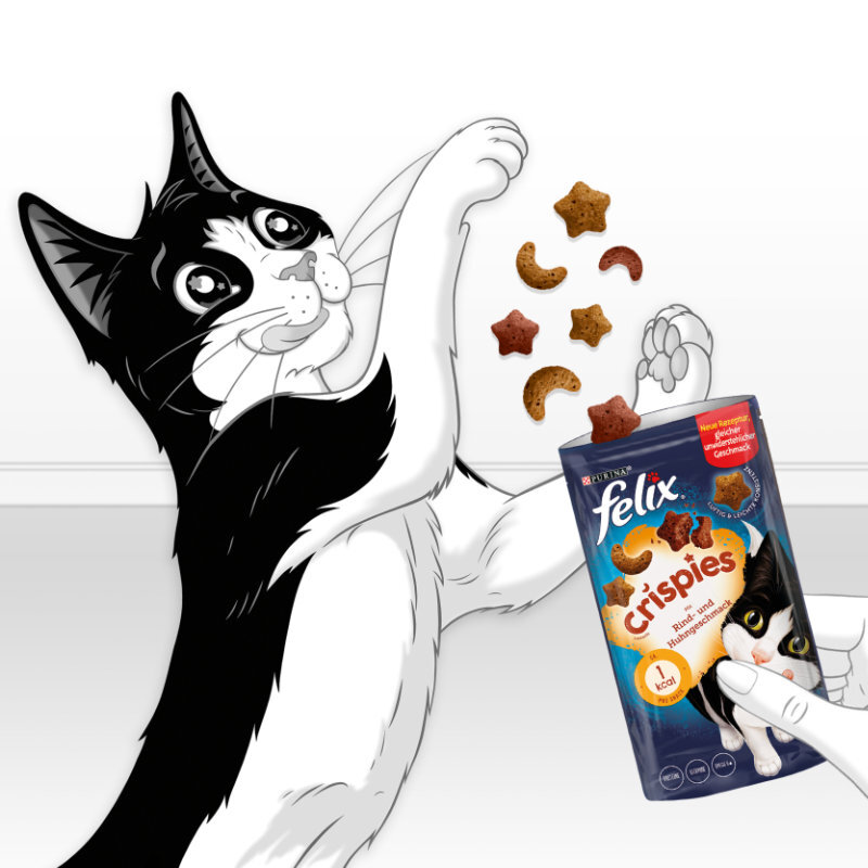 Felix Snacks Felix Crispies 8x45g Rind & Huhn