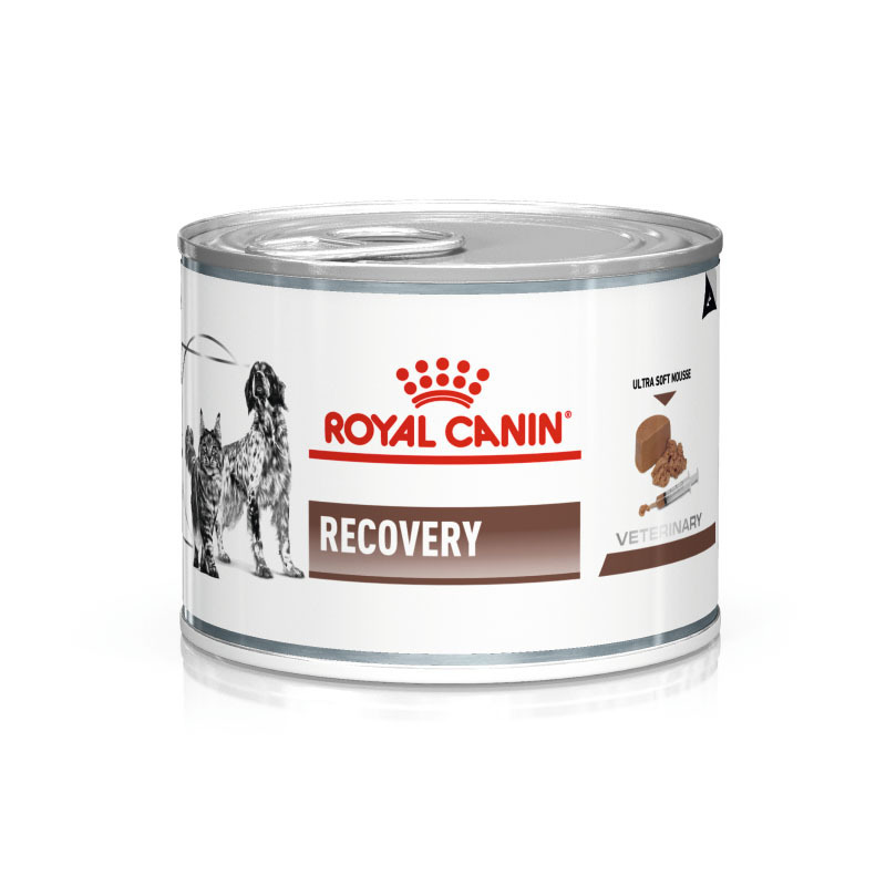 ROYAL CANIN Schonkost ROYAL CANIN Veterinary RECOVERY 12x195g