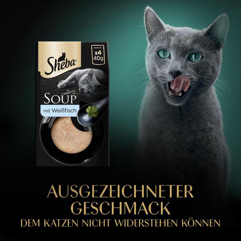 Sheba Classic Soup 40 x 40 g zu TOP-Preisen