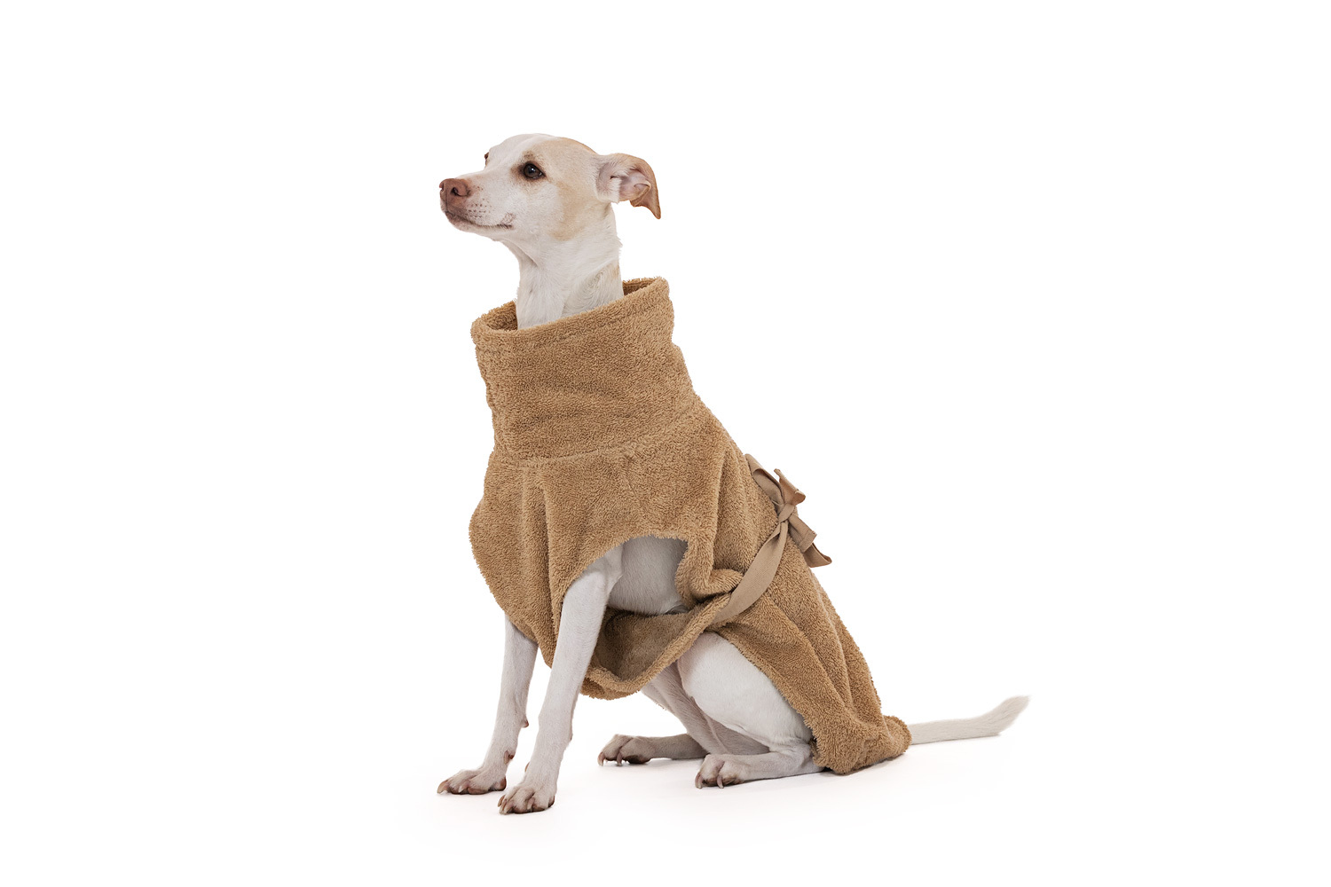 Lills Hundemäntel Lills Lill's Hundebademantel 