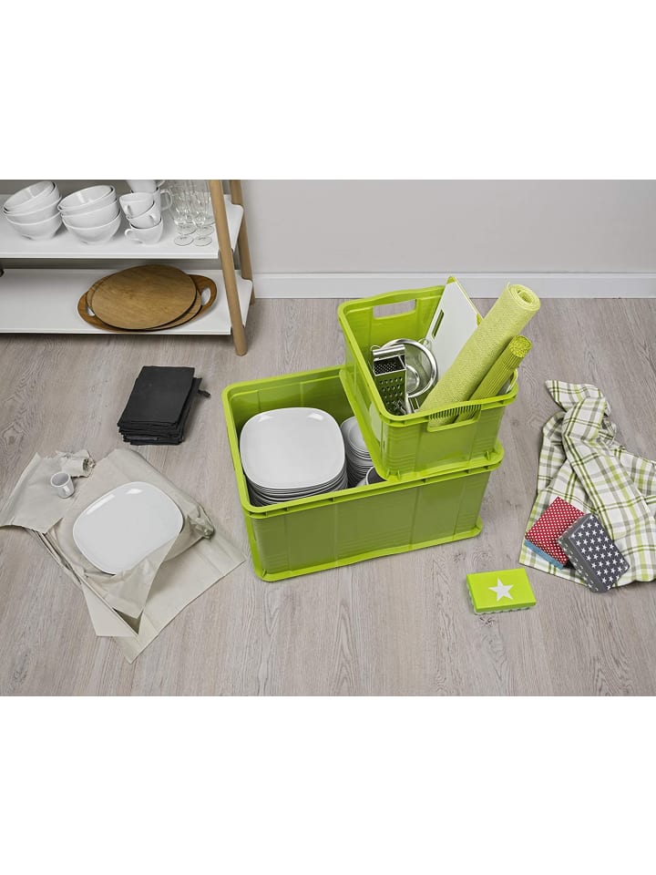 Rotho Agilo Aufbewahrungsbox 55l, Kunststoff (PP) in Transparent günstig kaufen onesize