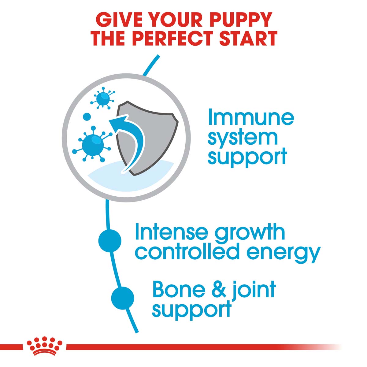 ROYAL CANIN Giant Puppy 3,5kg + Maxi Puppy in Soße 10x140g