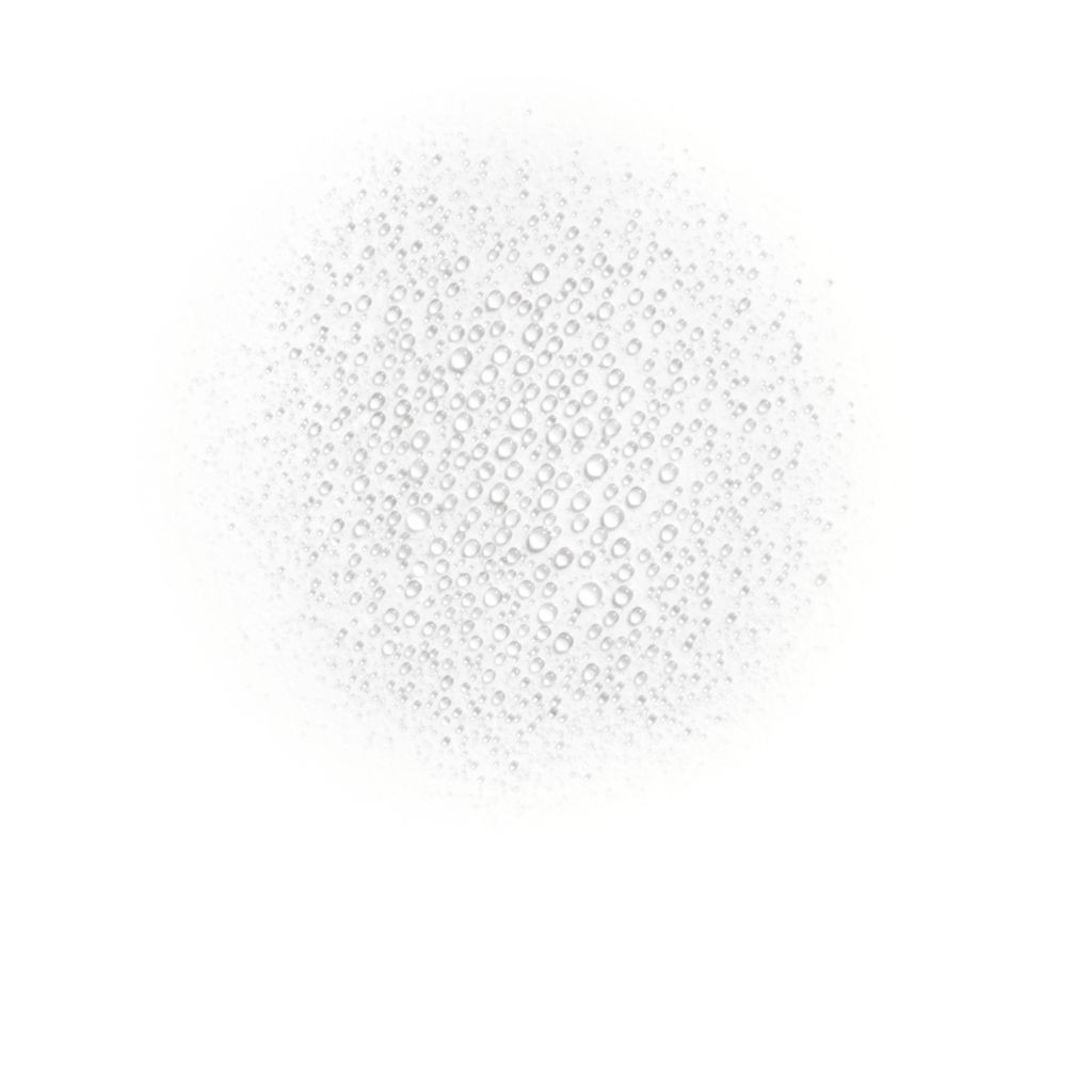 ESSENCE MIST