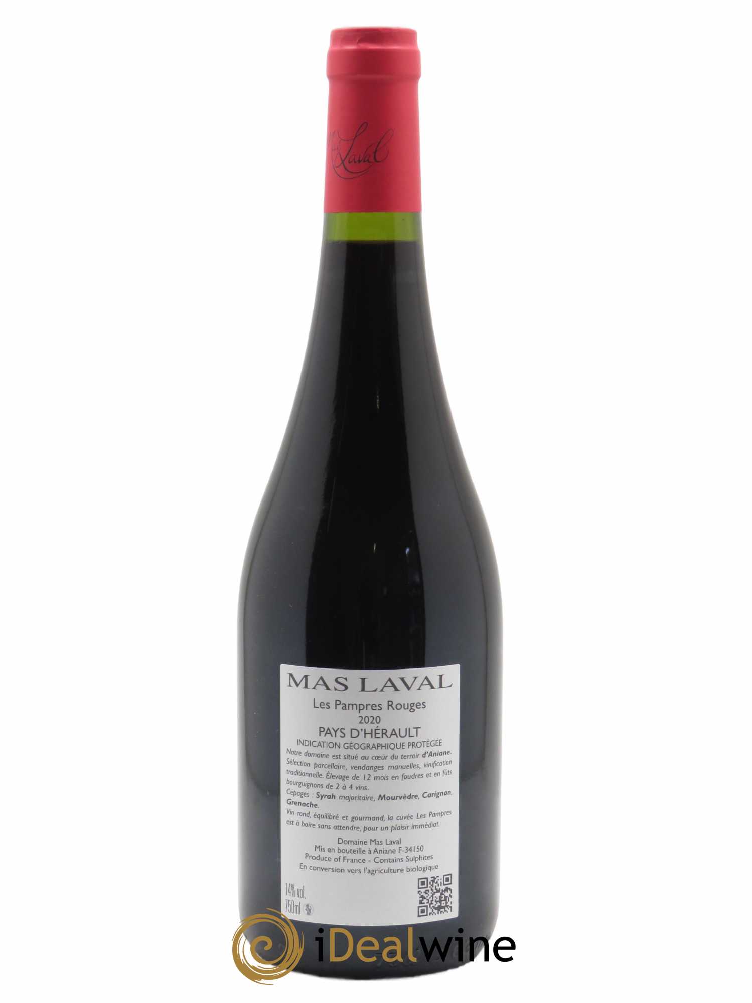 IGP Pays d'Hérault Mas Laval Les Pampres Joël Laval  2020 - Lot de 1 Bouteille