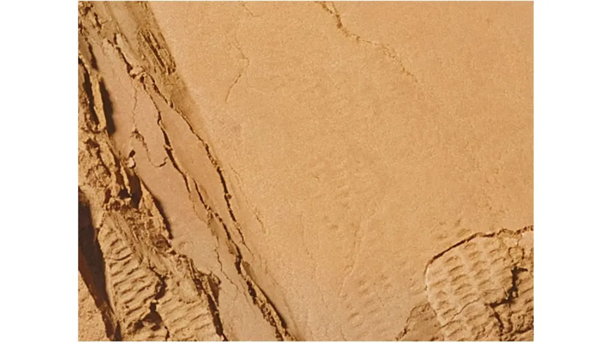 MAC Studio Fix Powder Plus Foundation 15 g f4cb9f - NC30