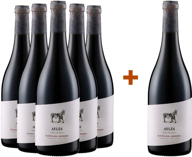 5+1 Paket Cuesta del Herrero de Pago Cariñena DO Bio - Pago Aylés