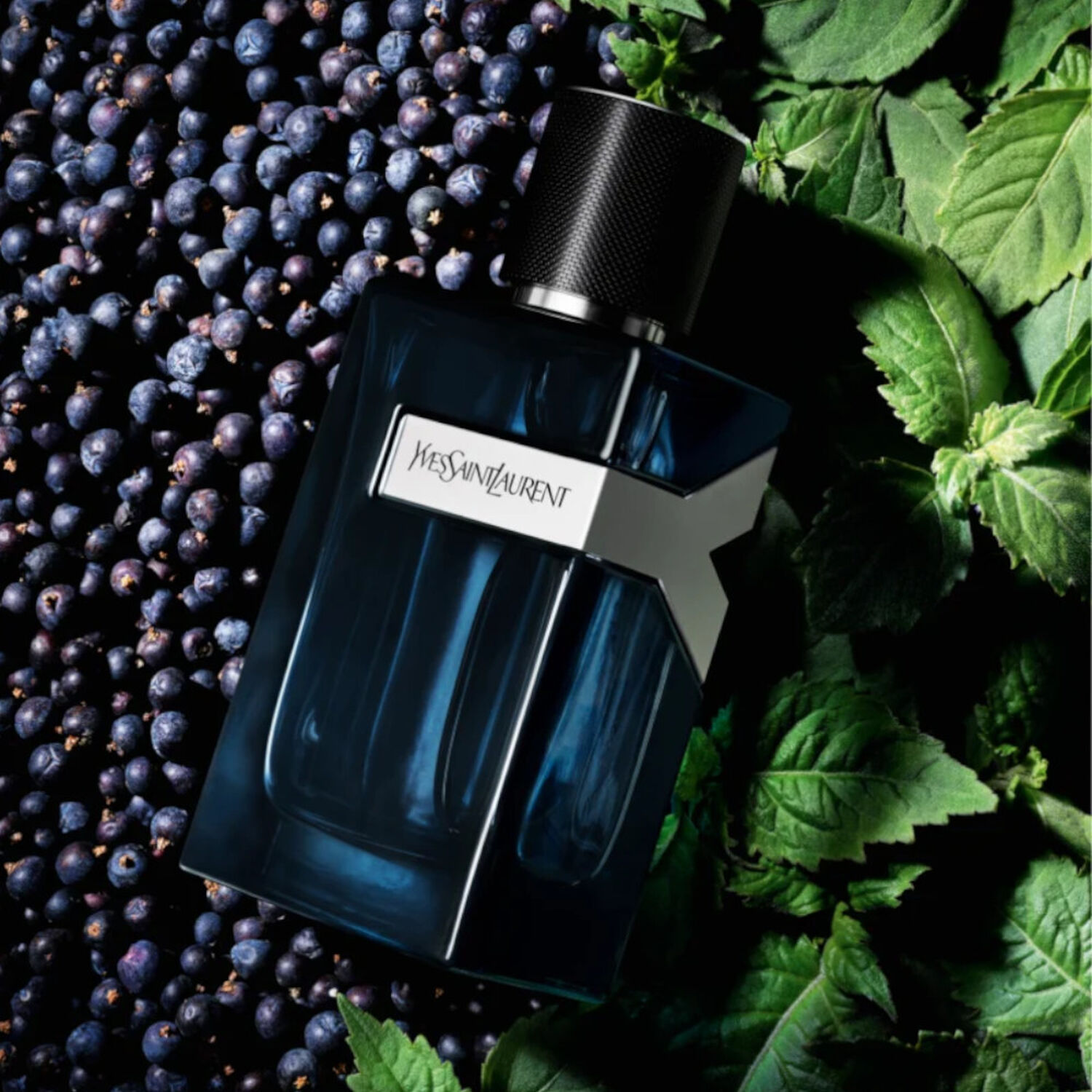 Yves St Laurent Y Eau de Parfum Intense 100 ml