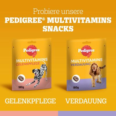 Pedigree Multivitamins Immunsystem