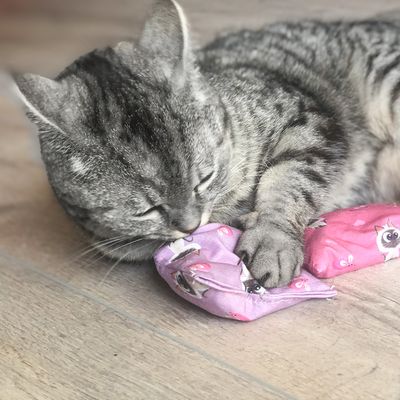 Aumüller Baldini Katzenspielkissen PETS Edition