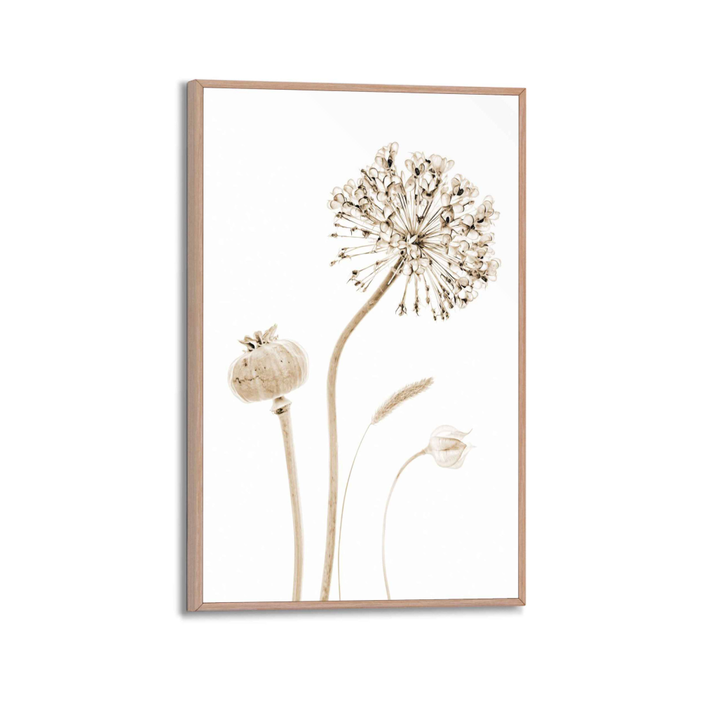 Rahmenbild Flower Stills