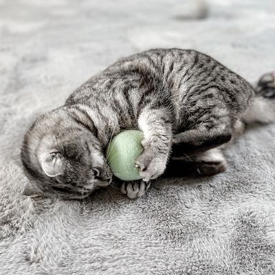 Aumüller Natürliche Wollfilzkugel