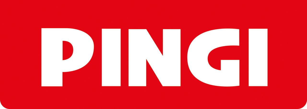 Pingi XXL Auto-Entfeuchter 1kg