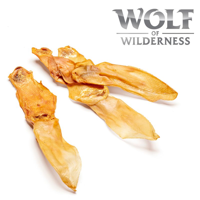 Wolf of Wilderness - Kaninchenohren