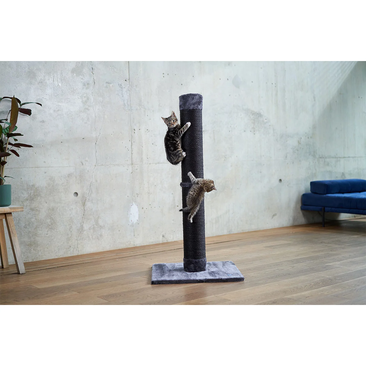 ZooRoyal Kratzstamm XXL Tower 113cm anthrazit kaufen