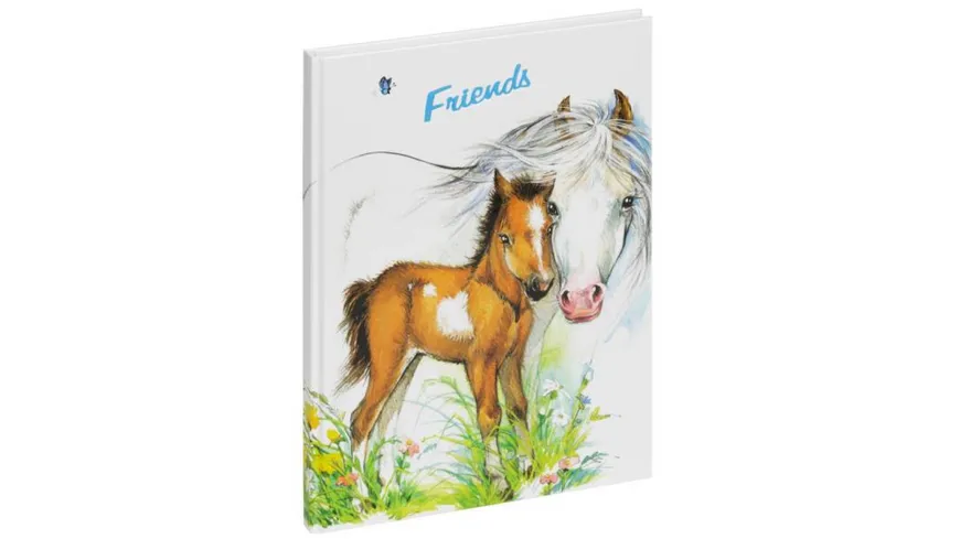 PAGNA Freundebuch Süsse Fohlen 60 Seiten