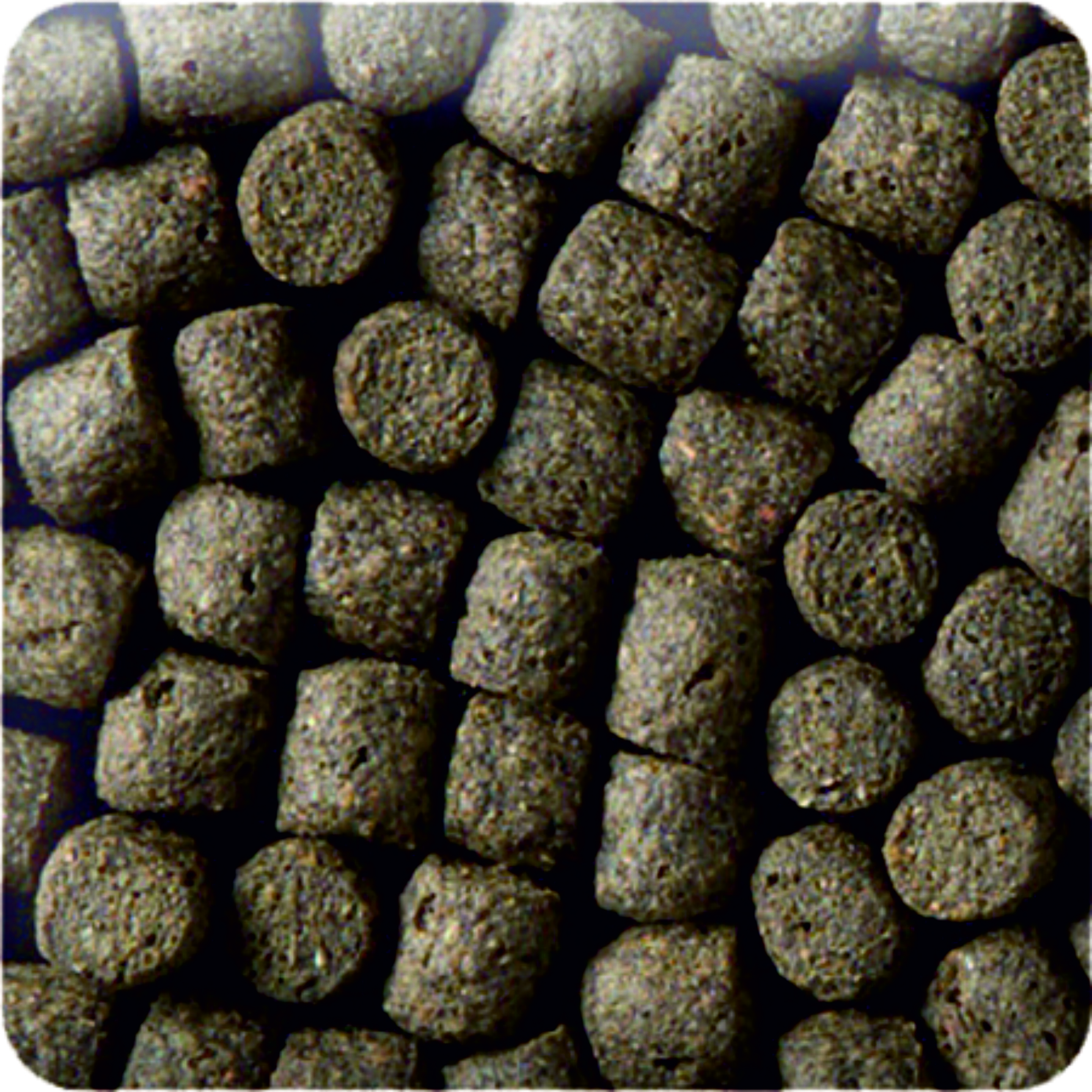 KENKOU Hauptfutter KENKOU Koifutter Bakudai 6mm 5 kg