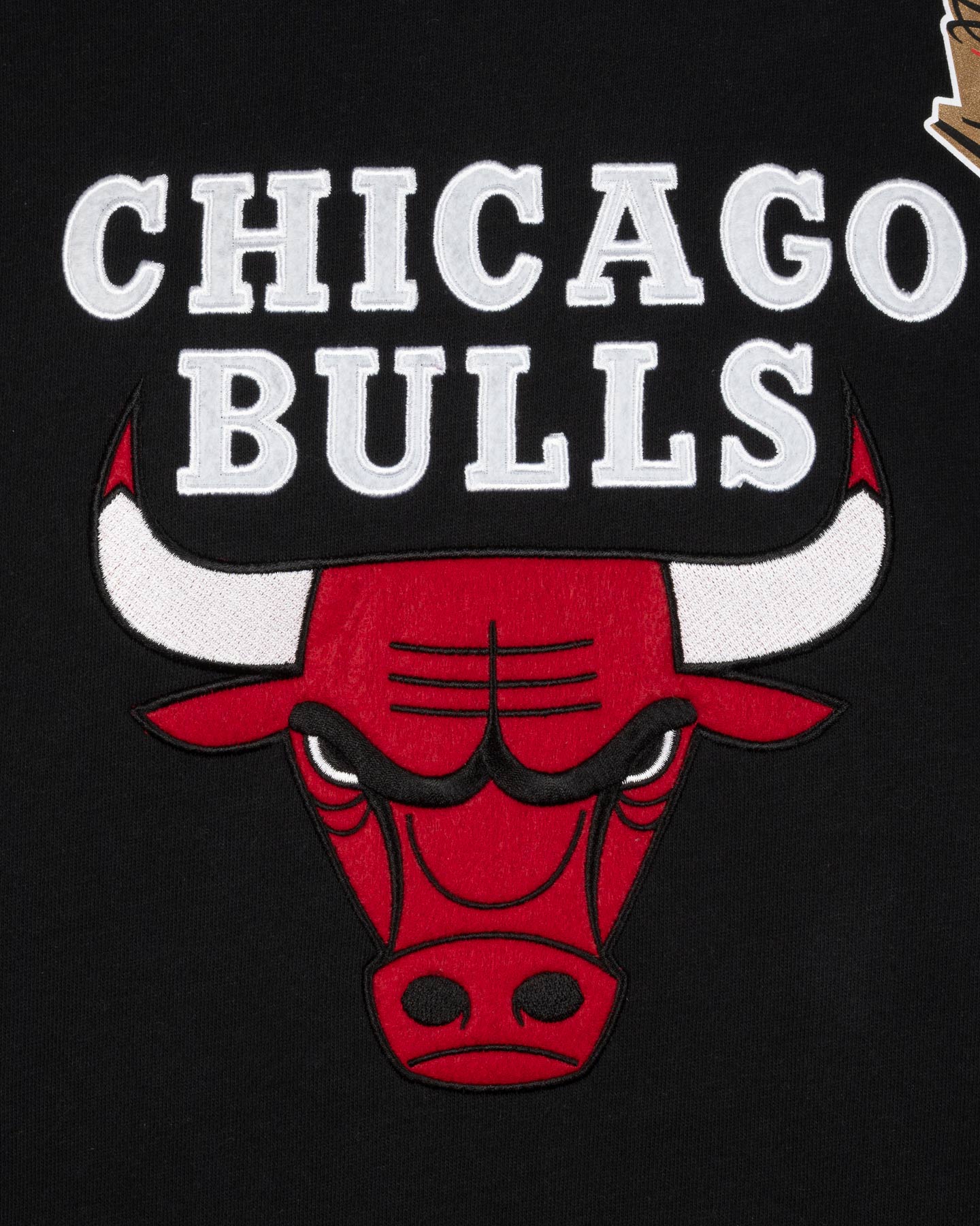 Oblečenie Basket Mitchell&ness Team Origins Fleece Vintage Logo Bulls M TH9263-CBUBLCK