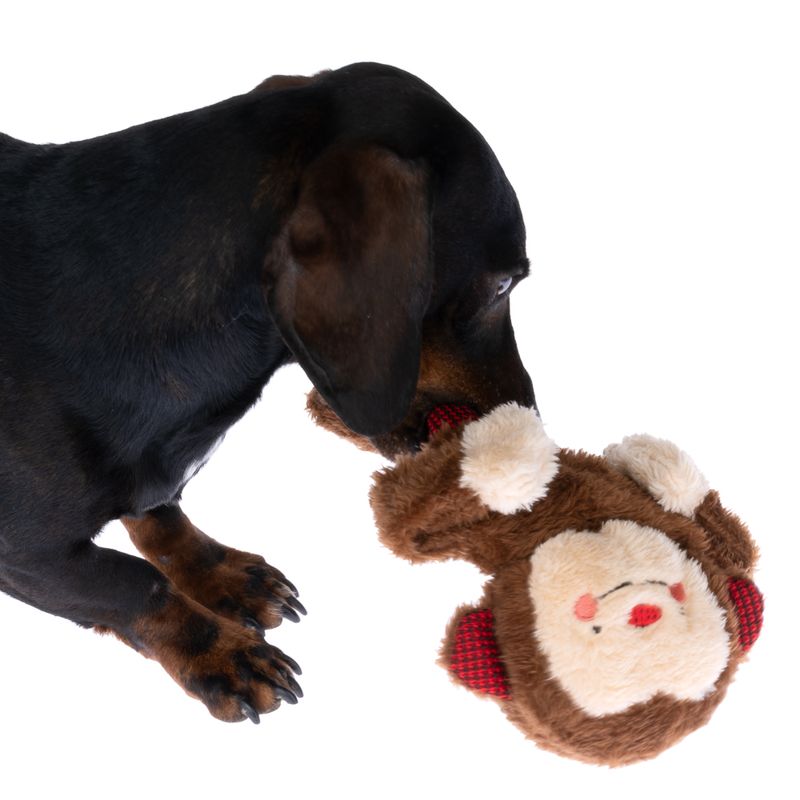 TIAKI Winkie Monkey Hundespielzeug zu TOP-Preisen