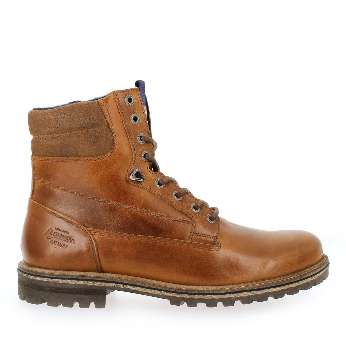 Gaastra  CRAGEN HIGH - Cognac