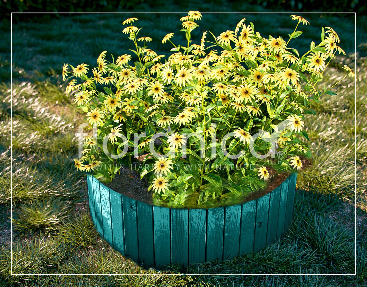 Pemicont Floranica Rollborder II Flexibler Holzzaun 203cm Höhe: 20cm Grün Imprägniert Kiefernholz Beeteinfassung Rasenkante Beetumrandungen