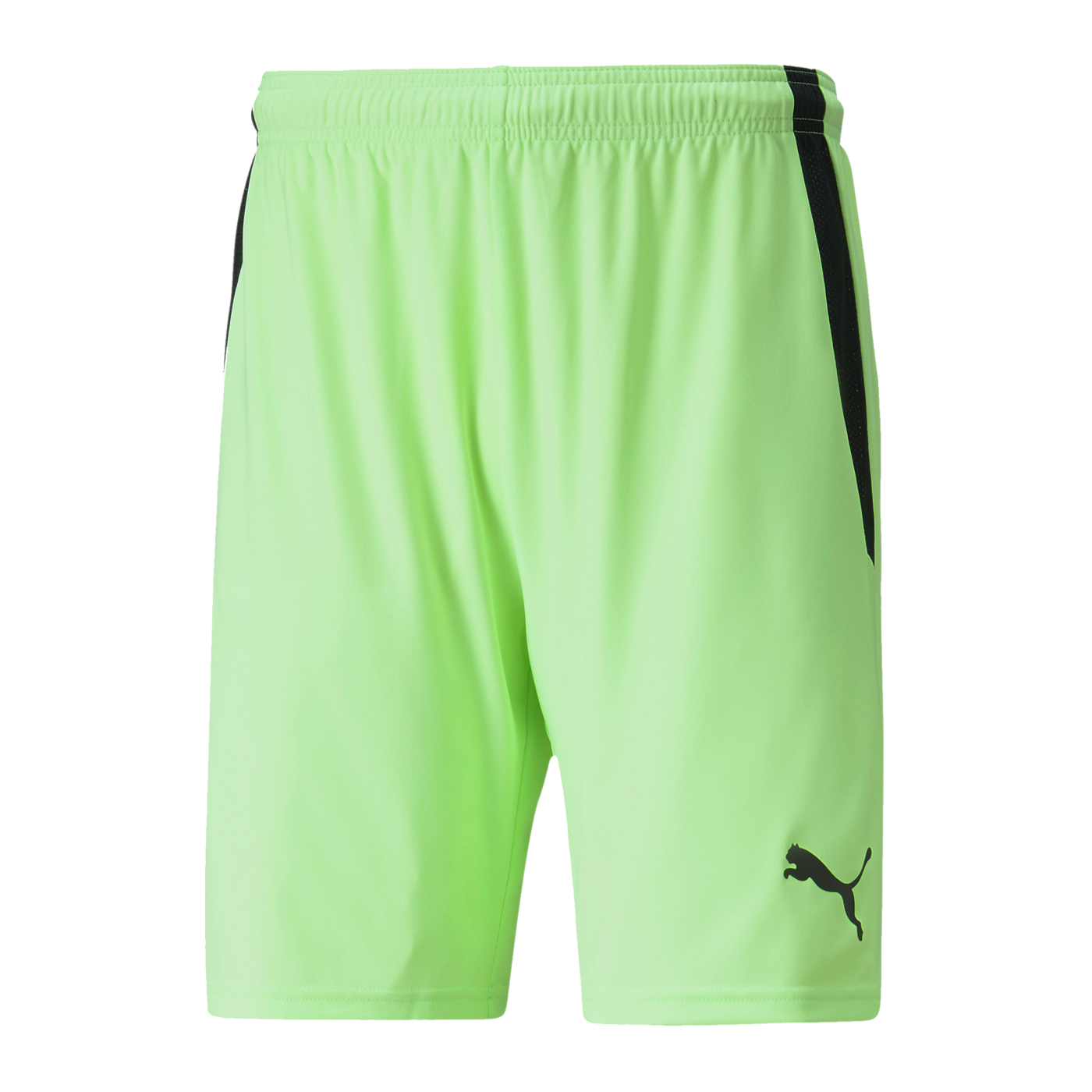 PUMA teamLIGA Short Grün Schwarz F20