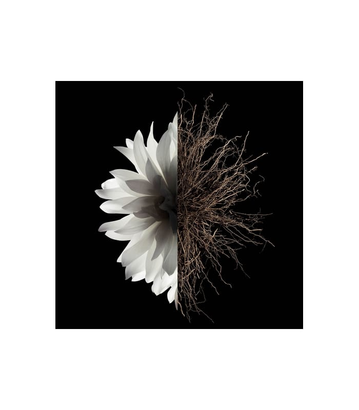 Givenchy-L'INTERDIT-Parfum pour Cheveux