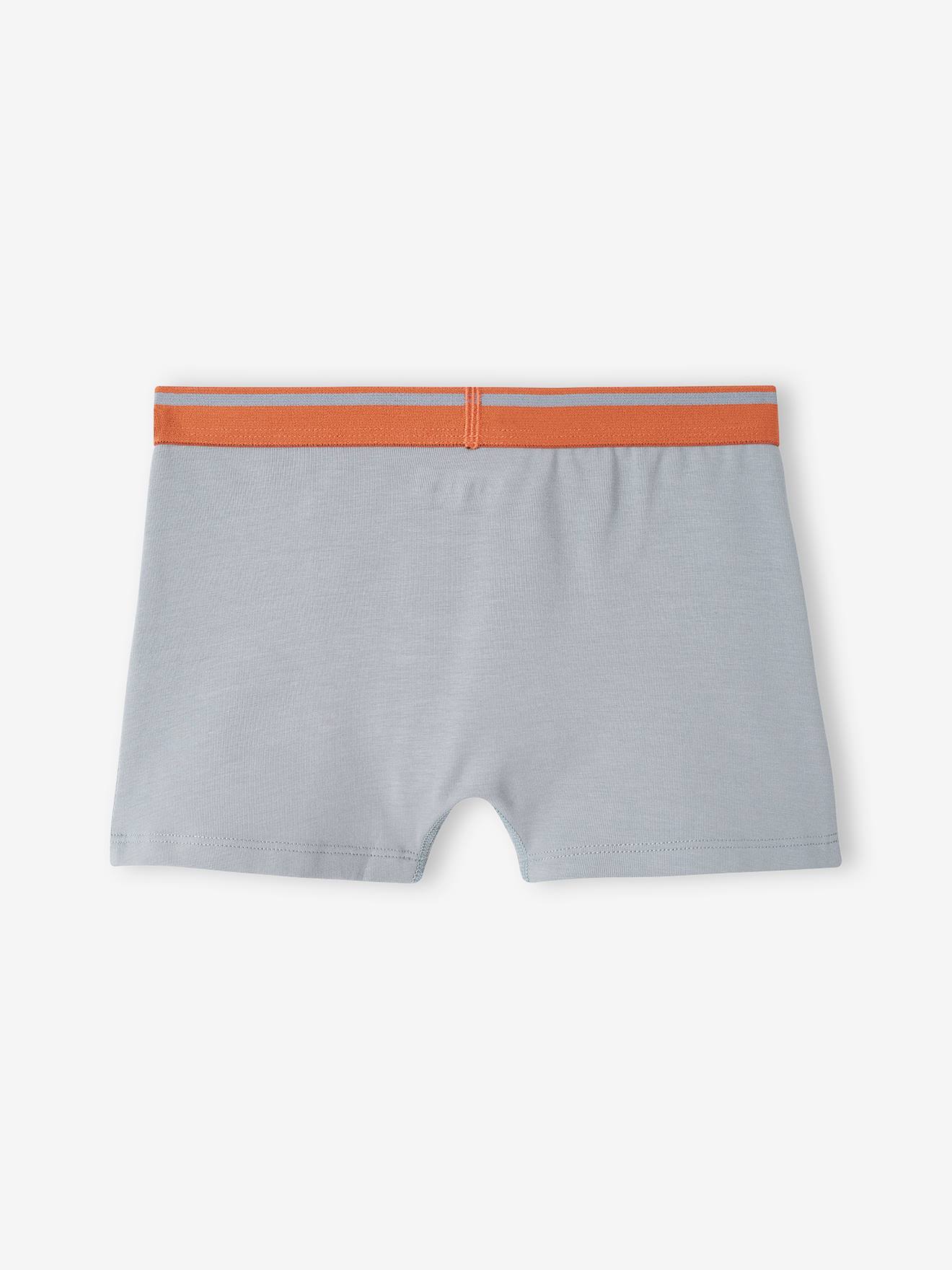 Lot de 5 boxers stretch Yéti garçon bleu grisé