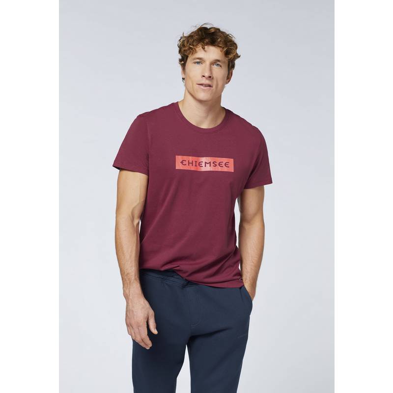 Chiemsee T-Shirt T-Shirt Herren