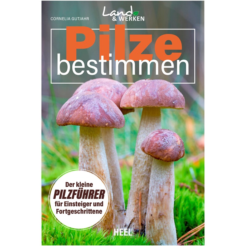 HEEL Verlag Buch: Pilze bestimmen