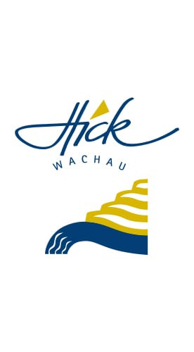 2022 Grüner Veltliner Steinfeder® trocken - Weingut Hick