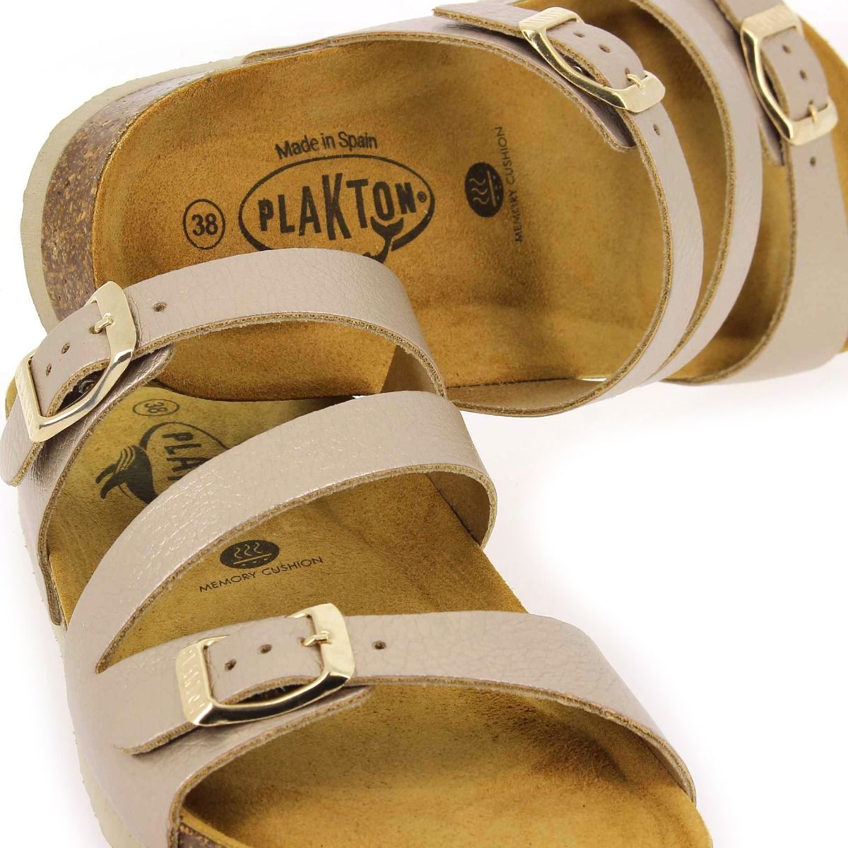 Plakton   BOLINO - Platine