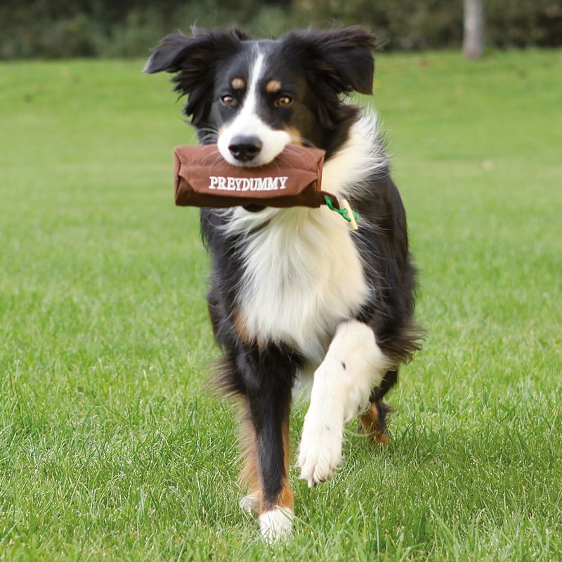 Trixie Preydummy Jagd-/Beute-Spielzeug zu TOP-Preisen | bitiba.de