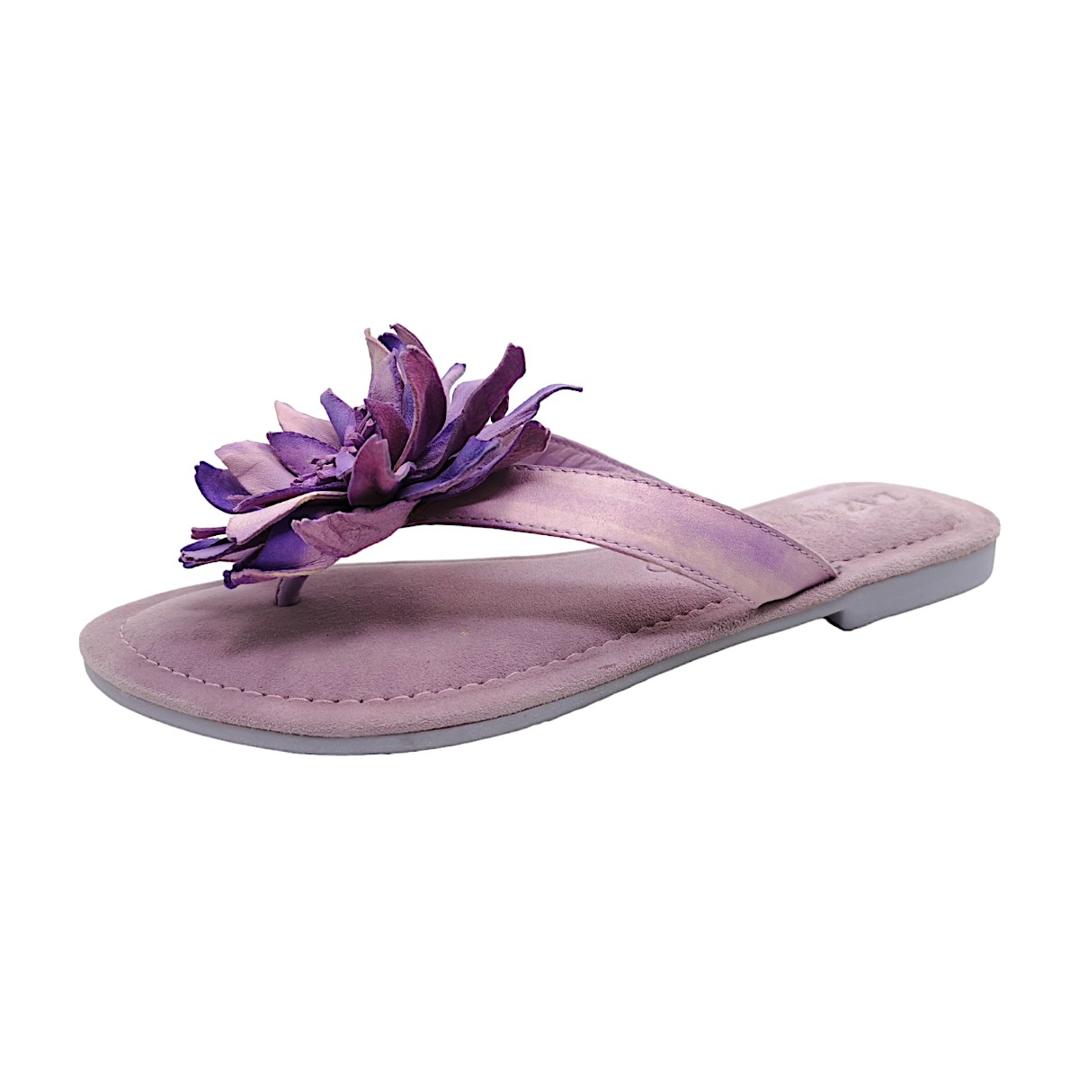 Lazamani LA33734 Violett Lilac