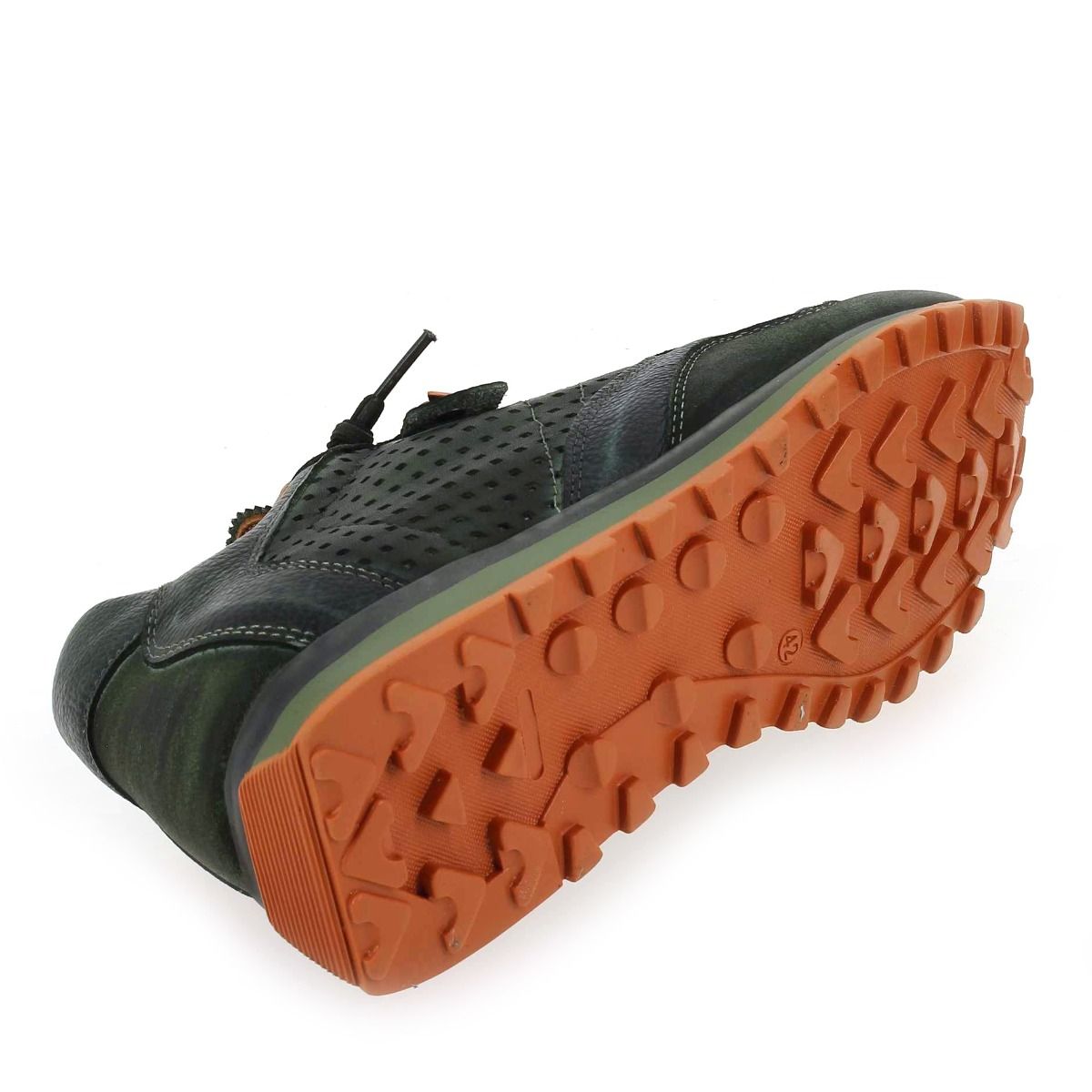 Cetti  C 848 H23 - Vert Orange
