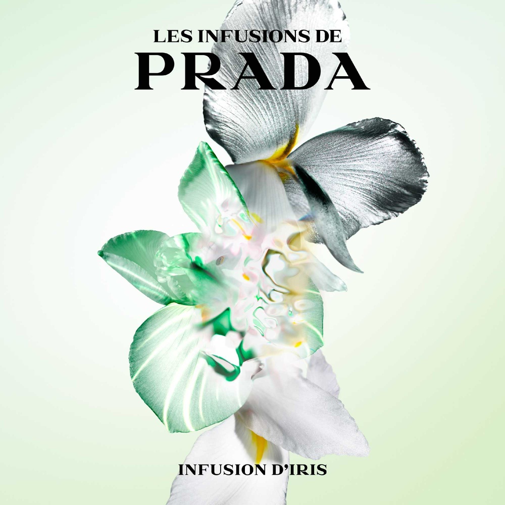 Prada Infusion d'Iris Eau de parfum florale boisée élégante