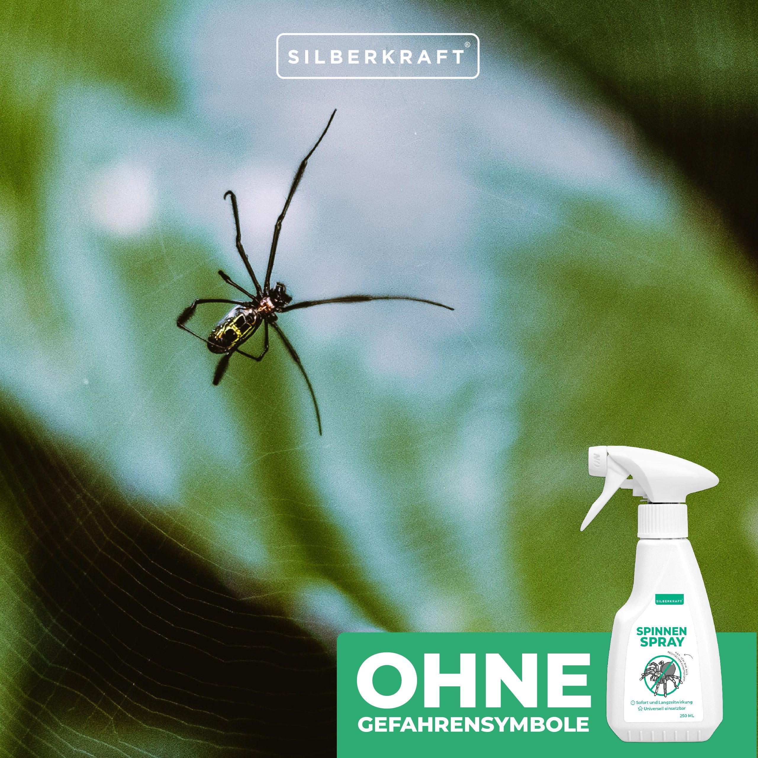 Silberkraft Insektenspray Spinnenspray, 250 ml, 1-St.