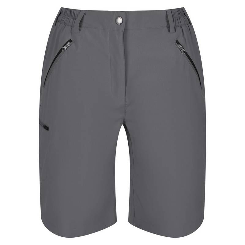 Regatta Xert It Shorts Damen