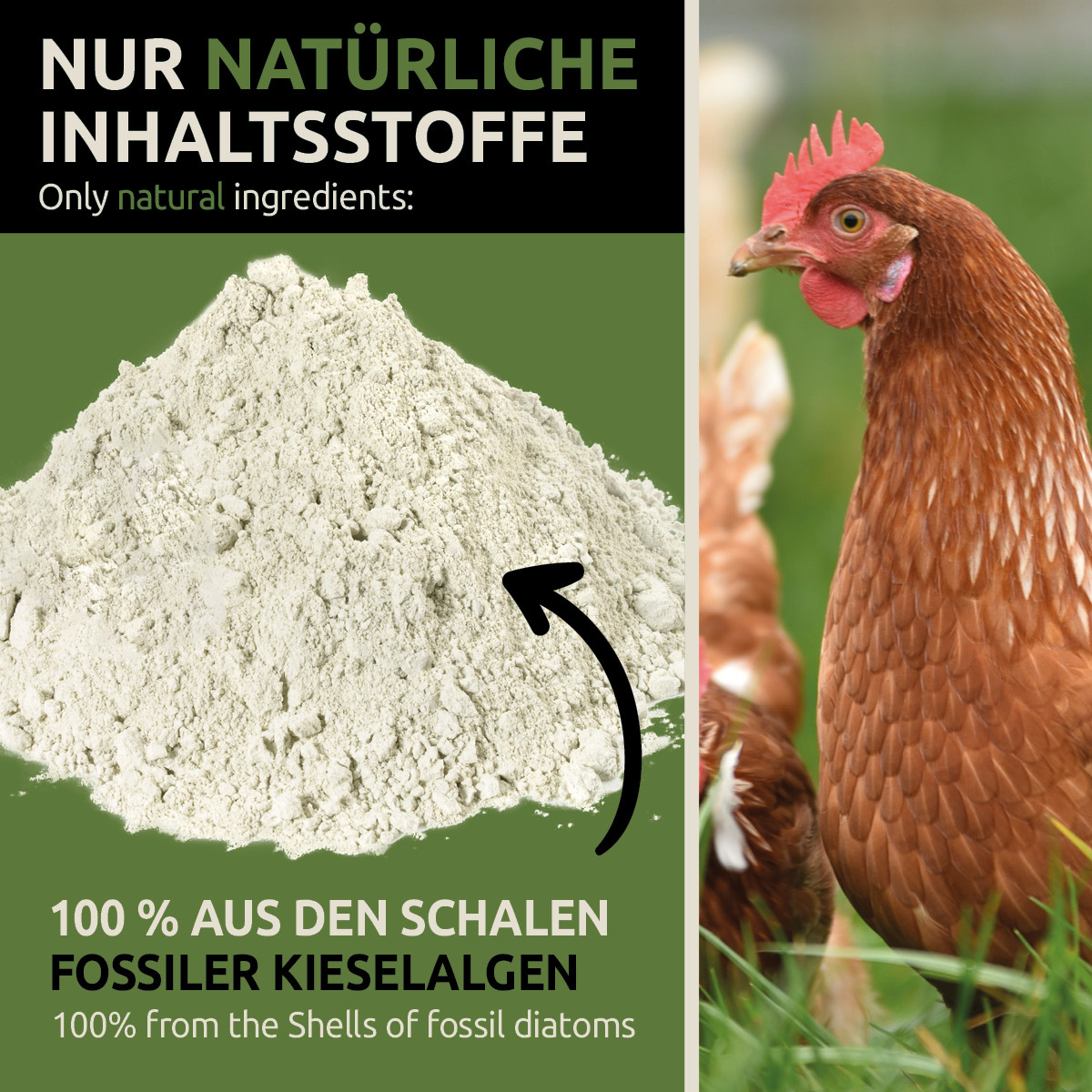 GreenPet Zubehör GreenPet Kieselgur inkl. Stäuberflasche 4kg