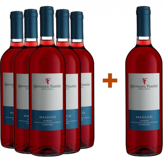 5+1 Paket Ma.Gi.Co Corvina Veronese Garda DOC - Giovanna Tantini