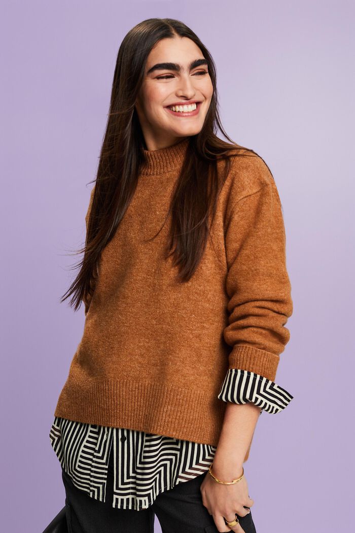 Sweatshirt mit Stehkragen