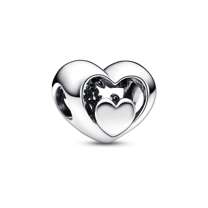 Pandora Charm Moments