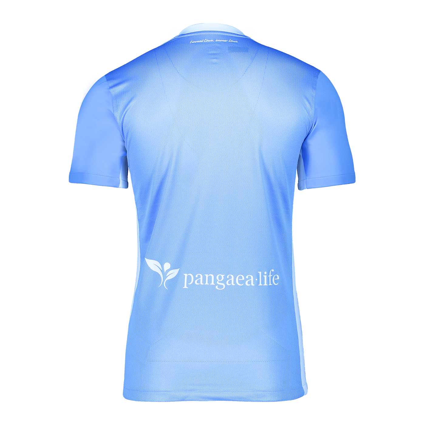 Nike TSV 1860 München Trikot Home 2024/2025 Kids Blau F412