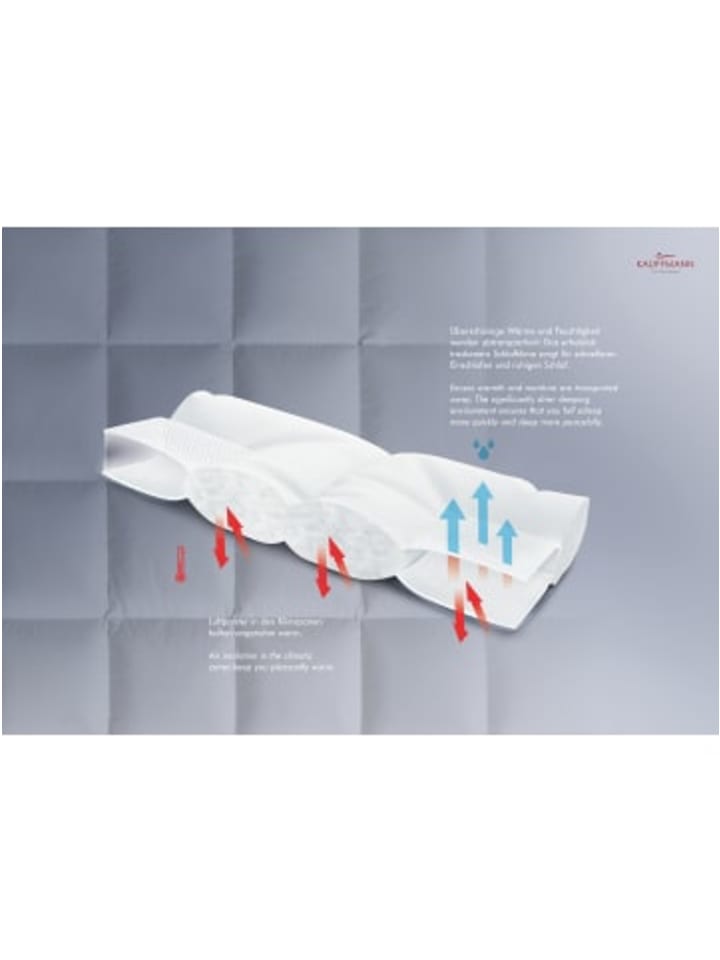 ClimaBalance Bettdecke Gänsedaunendecke Comfort light in Weiß günstig kaufen