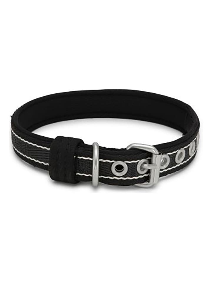 VOV & VUF Hundehalsband in Schwarz günstig kaufen onesize