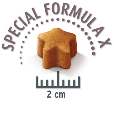 Sparpaket Concept for Life 2 x Großgebinde