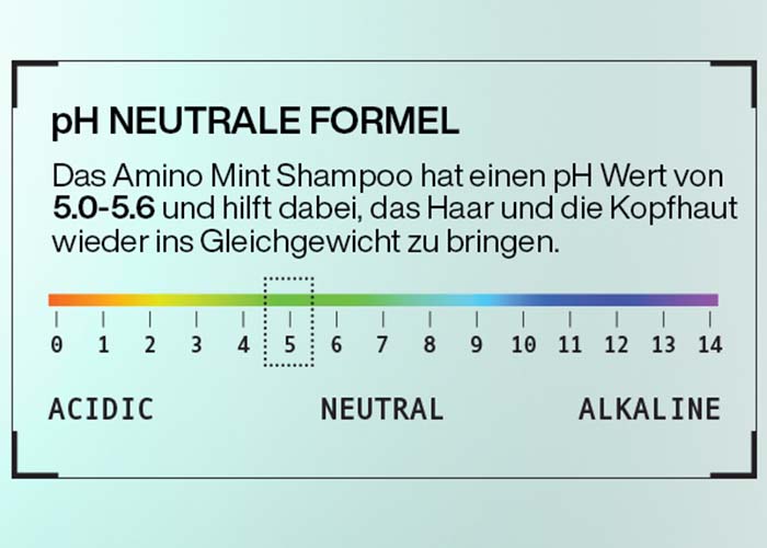 Redken Amino Mint Shampoo 300 ml