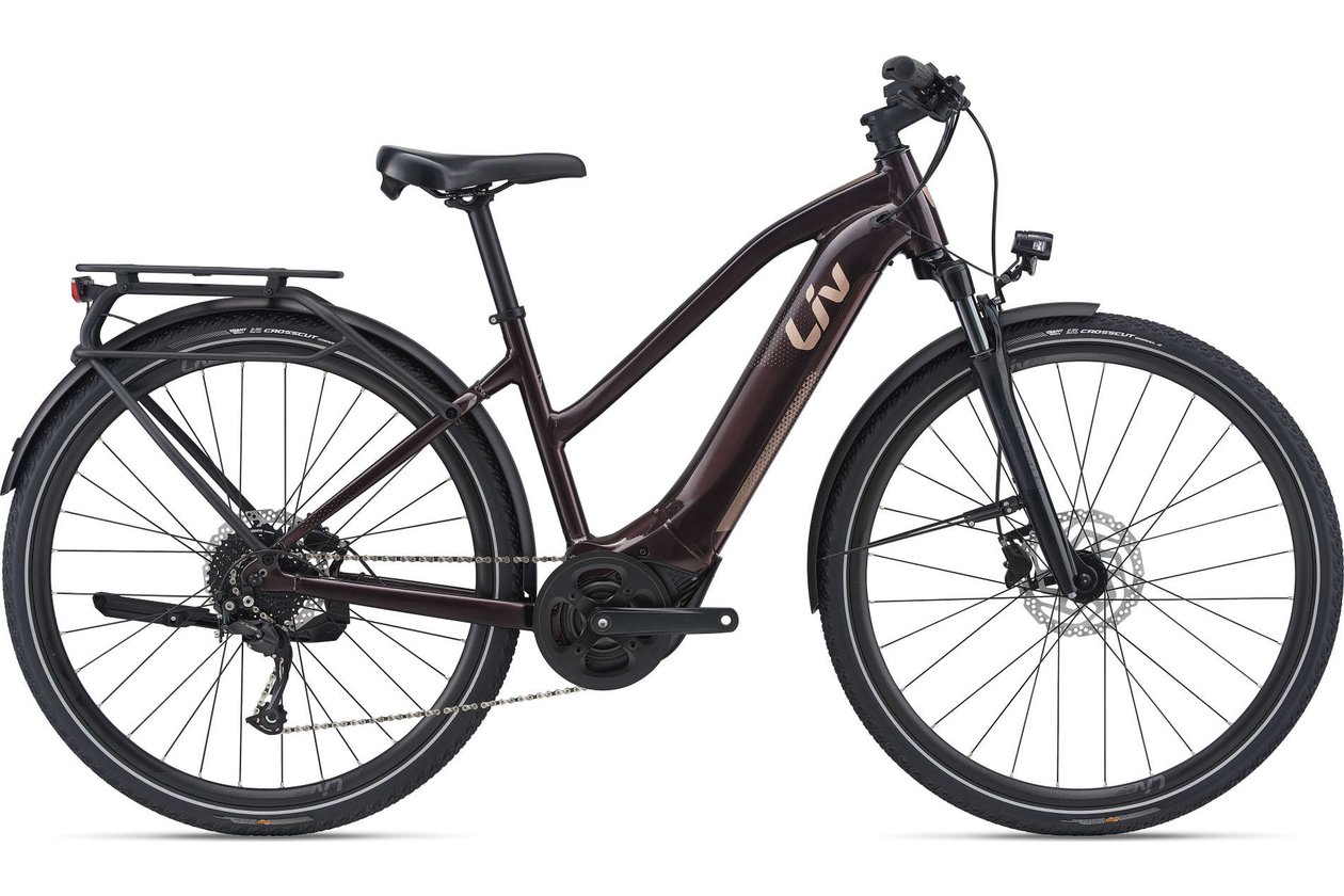 Liv Amiti-E+ 2 - RC Dash - 500 Wh - 2022 - 28 Zoll - Damen Sport