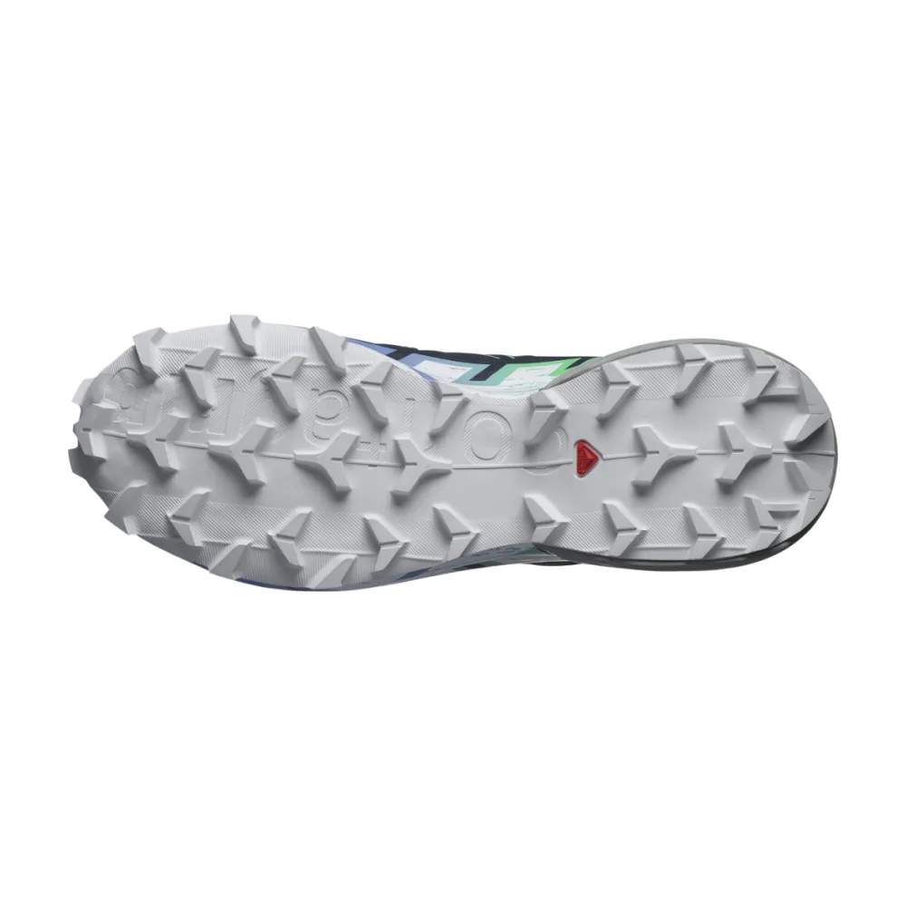 Salomon Speedcross 6 GTX W L47465900 / blau