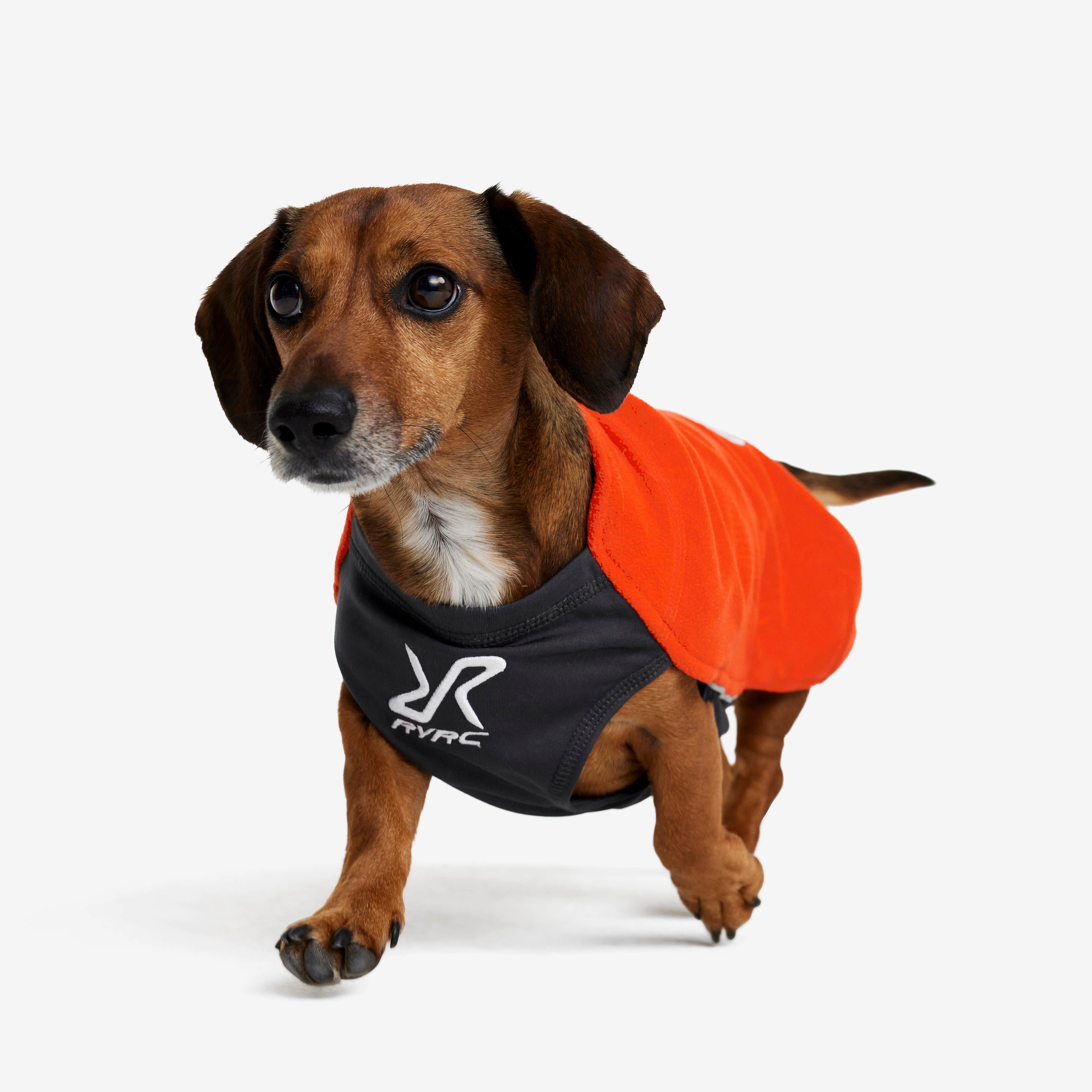 Trekker Fleece Chien Lava