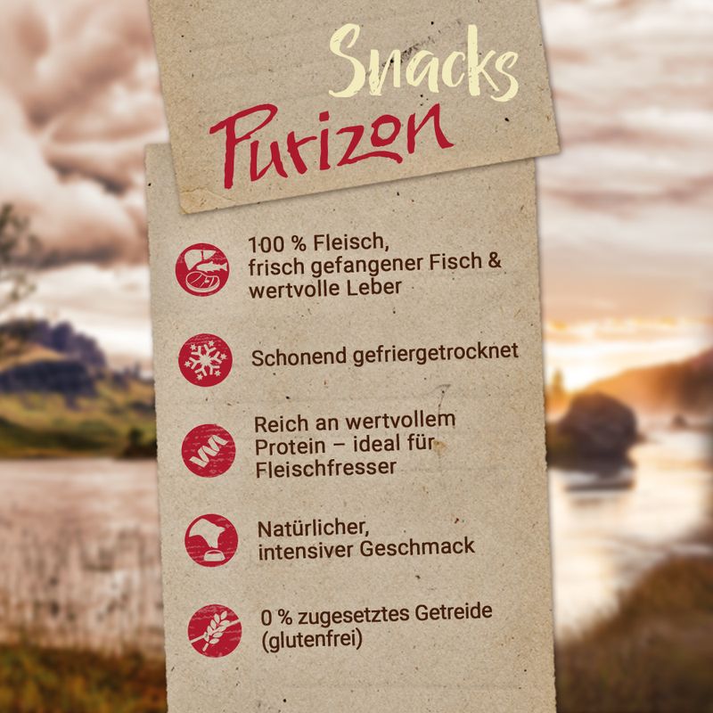 Sparpaket Purizon Hundesnack 3 x 100 g